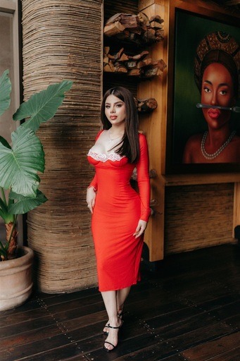 vestido rojo mesh mangas